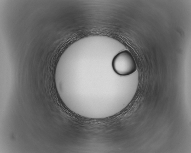 X0000114200865200910091046