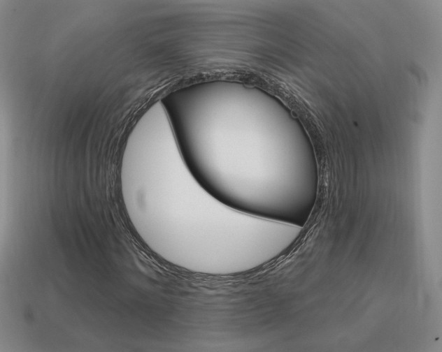 X0000114200868200910091046