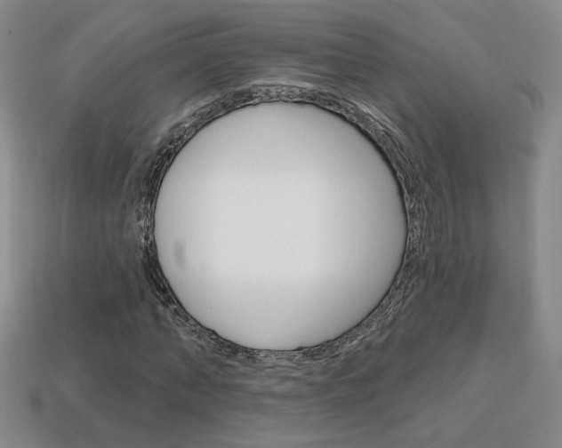 X0000114200870200910091046