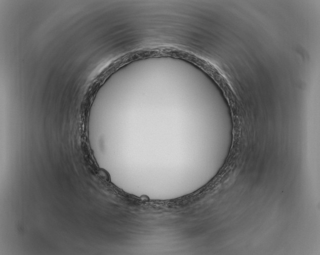 X0000114200871200910091046