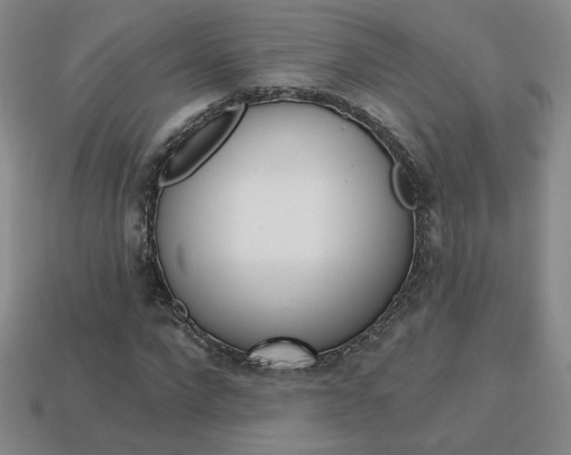 X0000114200872200910091046