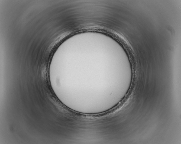 X0000114200873200910091046