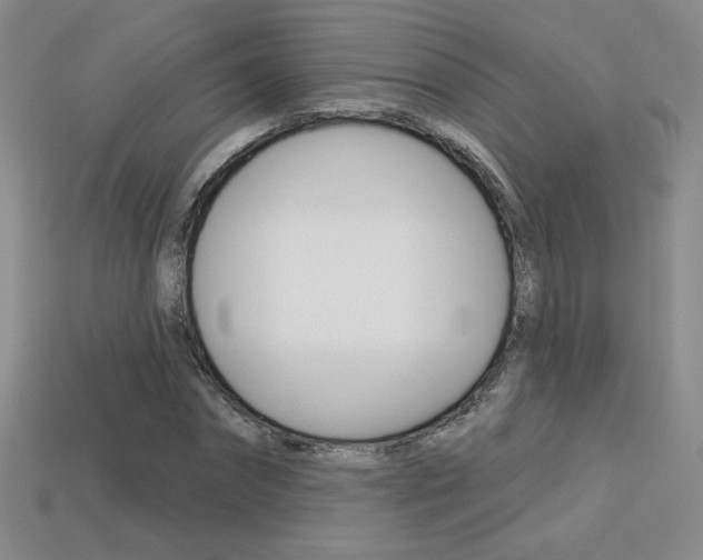 X0000114200874200910091046