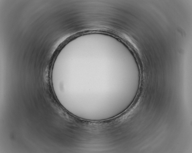 X0000114200875200910091046