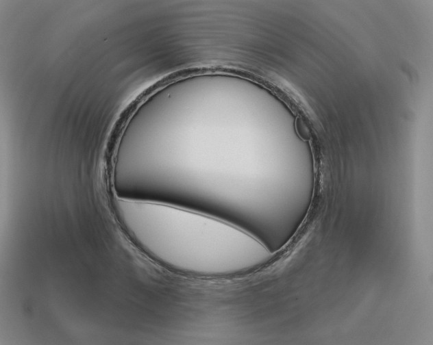 X0000114200876200910091046