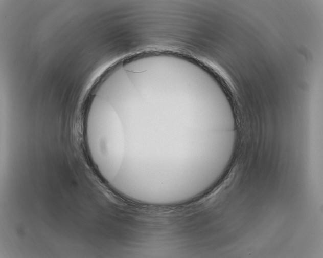 X0000114200878200910091046