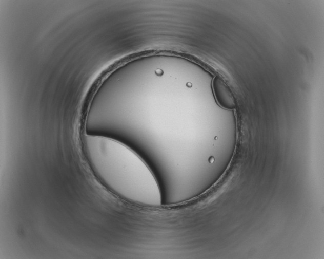 X0000114200880200910091046