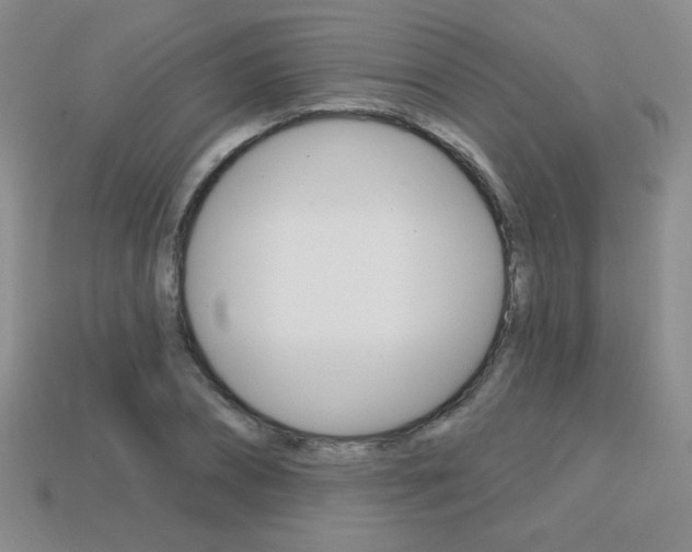 X0000114200882200910091046