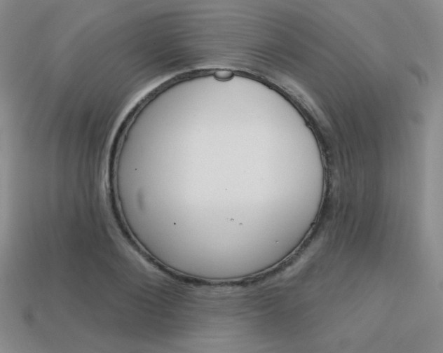 X0000114200884200910091046