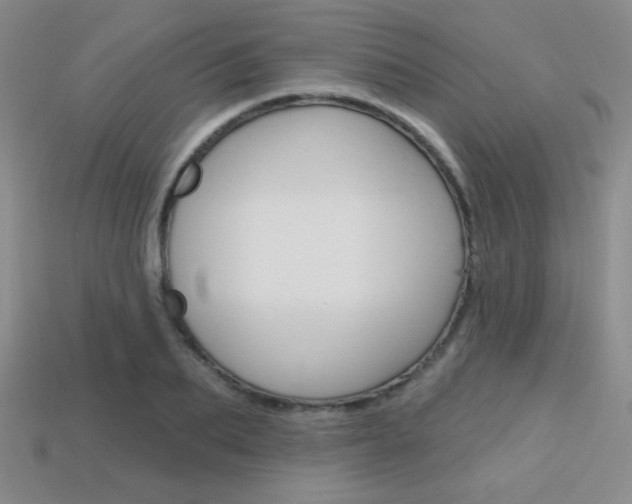 X0000114200887200910091046