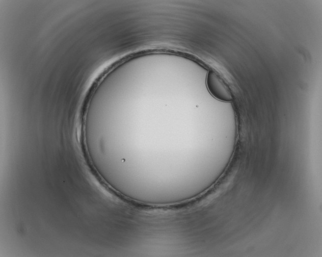 X0000114200888200910091046