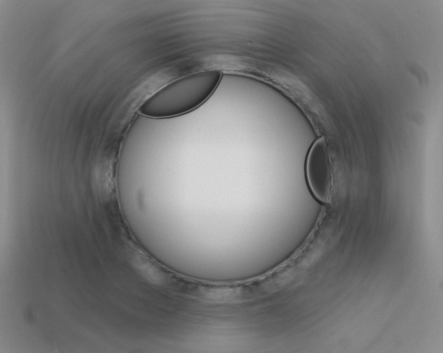 X0000114200889200910091046