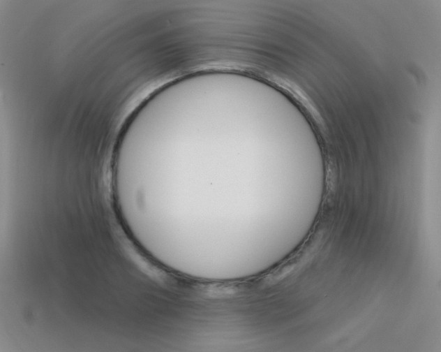 X0000114200890200910091046