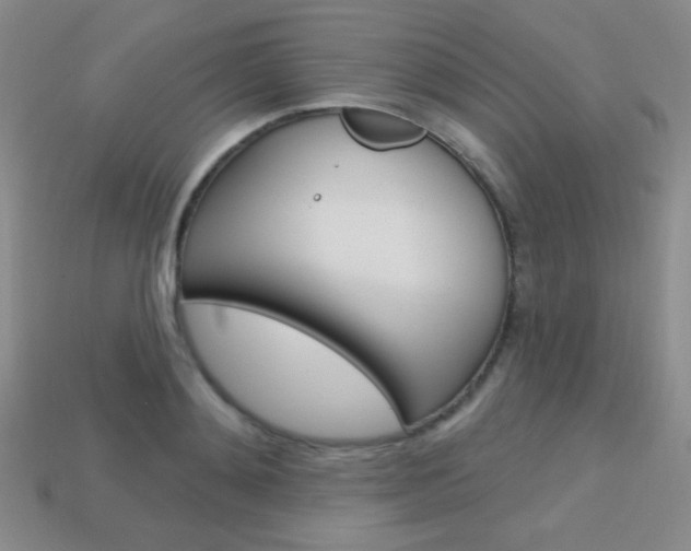 X0000114200892200910091046