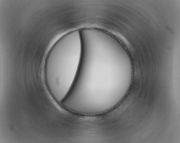 X0000114200894200910091046