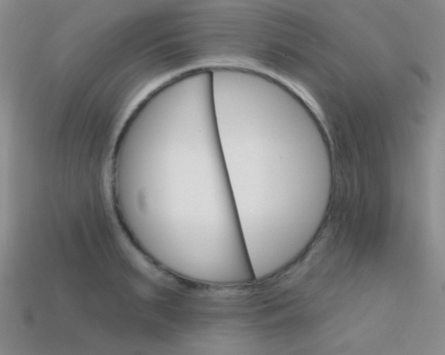 X0000114200895200910091046