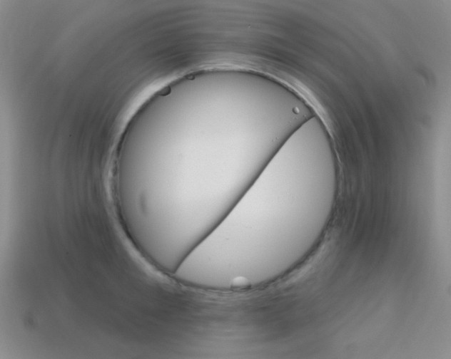 X0000114200901200910091046