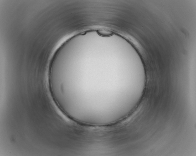 X0000114200902200910091046