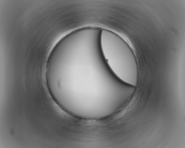X0000114200903200910091046