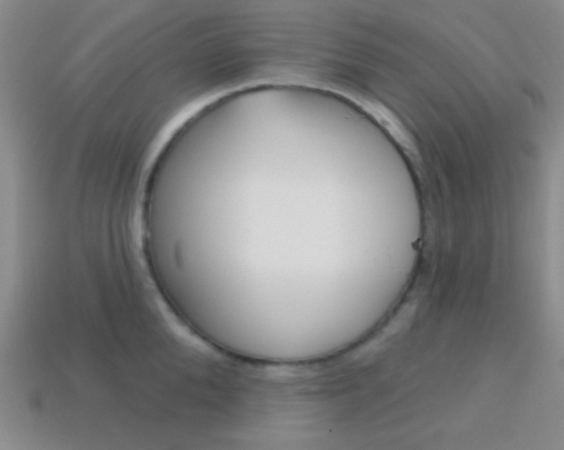 X0000114200904200910091046