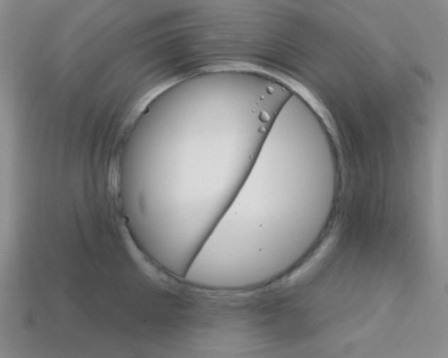 X0000114200905200910091046