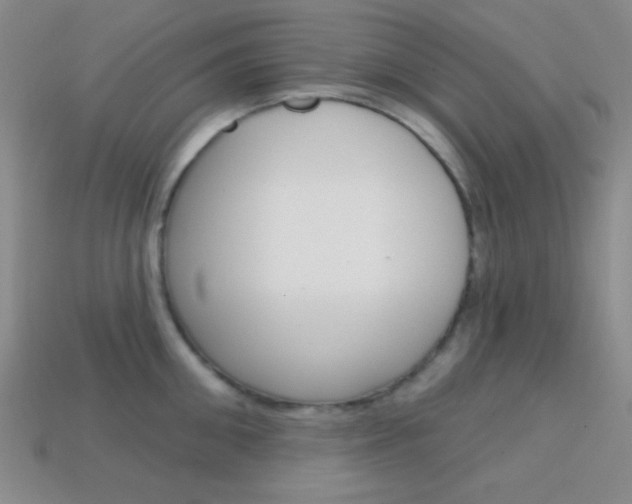 X0000114200906200910091046