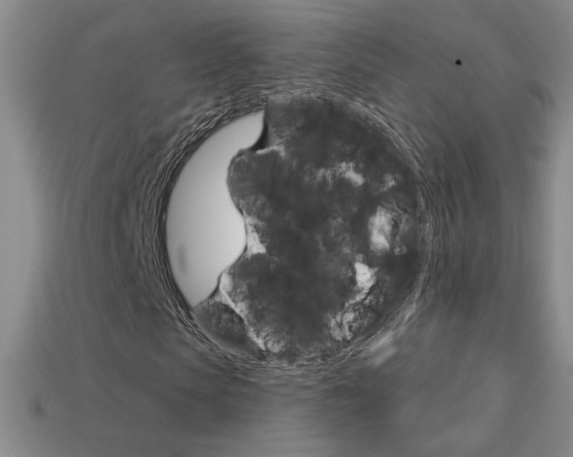 X0000114200913200910091045