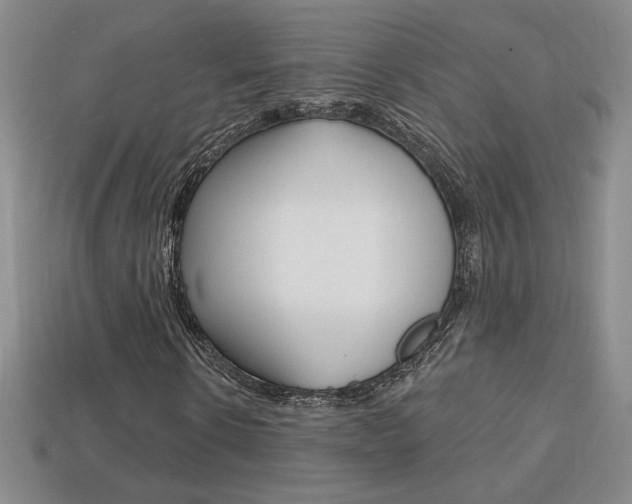 X0000114200914200910091045