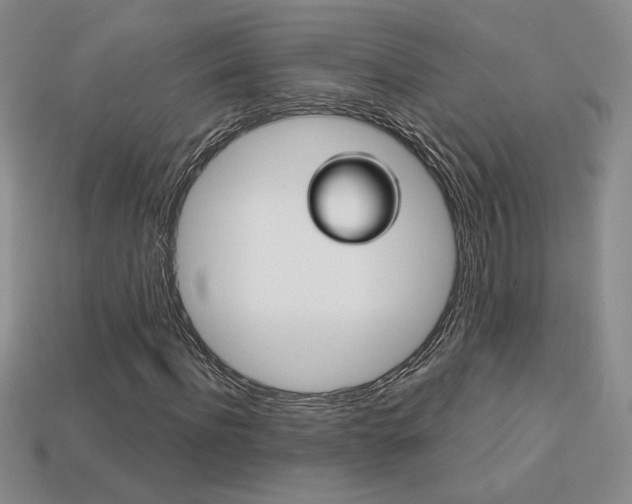X0000114200916200910091045