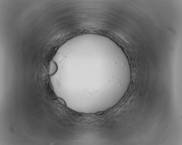 X0000114200917200910091045