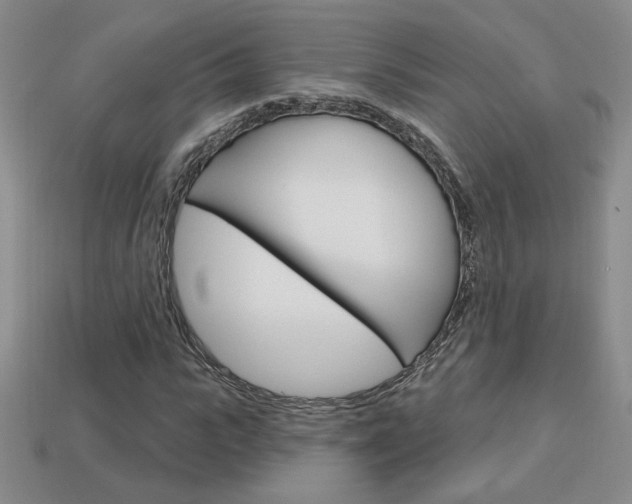 X0000114200919200910091045