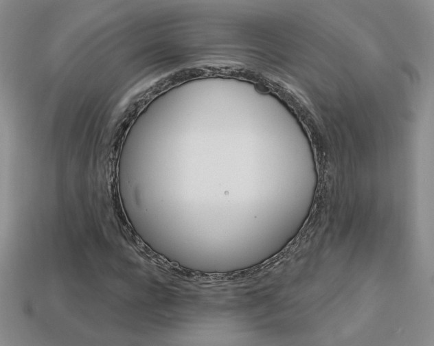 X0000114200920200910091045
