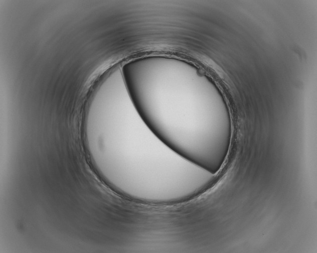 X0000114200922200910091045