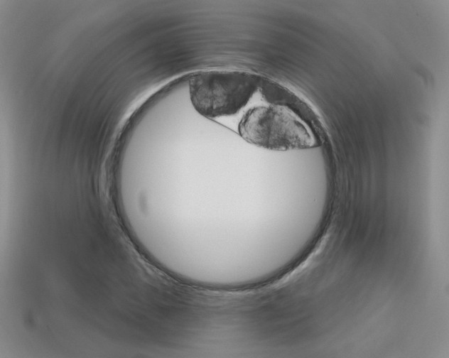 X0000114200925200910091045