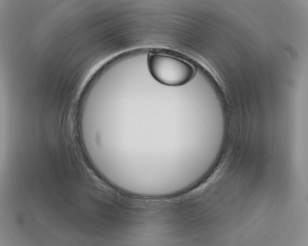 X0000114200926200910091045