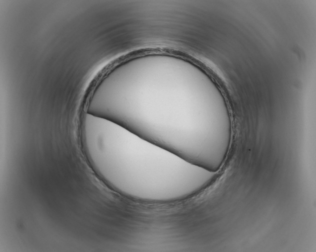 X0000114200927200910091045