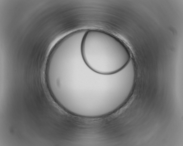 X0000114200928200910091045