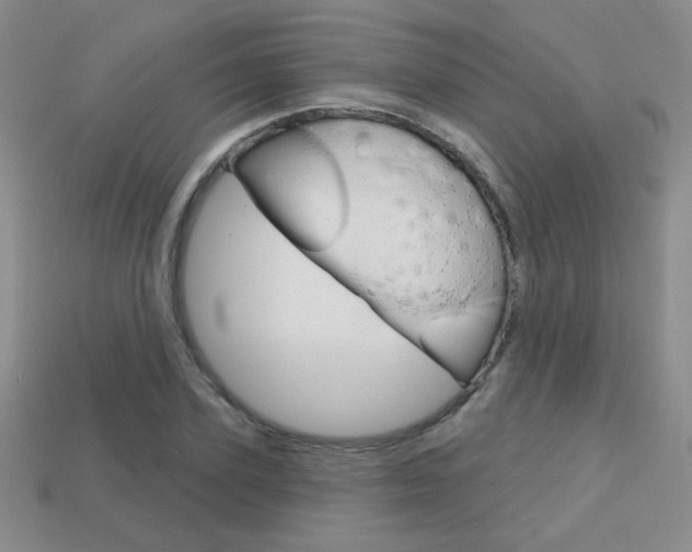 X0000114200931200910091045