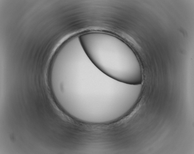 X0000114200934200910091045