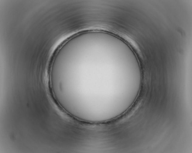 X0000114200936200910091045