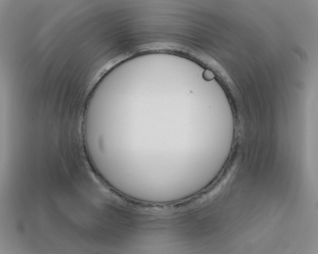 X0000114200937200910091045