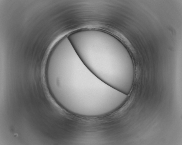 X0000114200939200910091045
