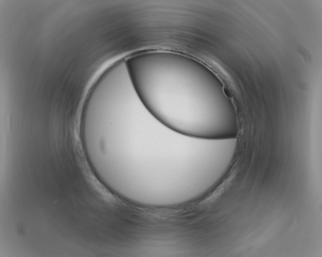 X0000114200940200910091045