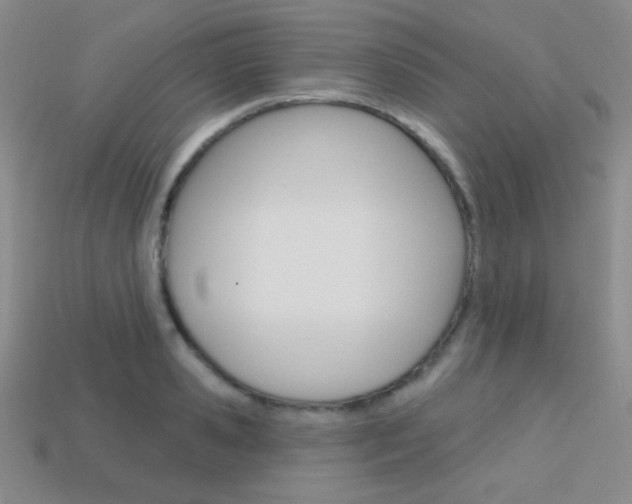 X0000114200941200910091046