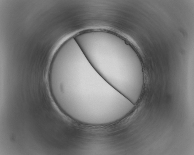 X0000114200943200910091046