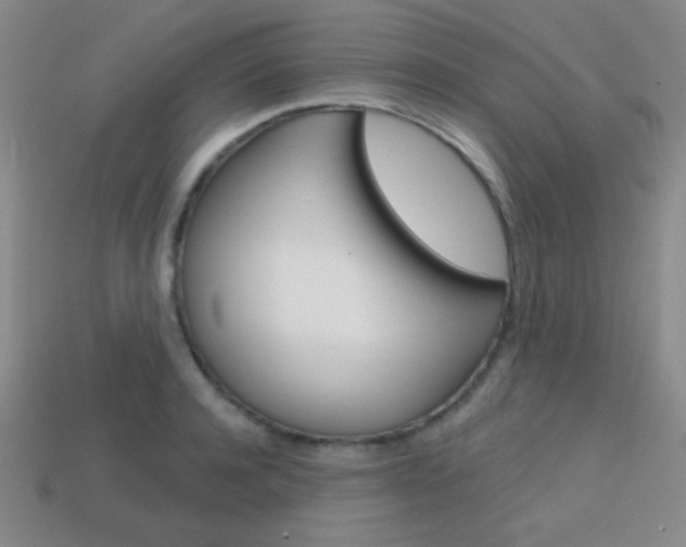X0000114200944200910091046