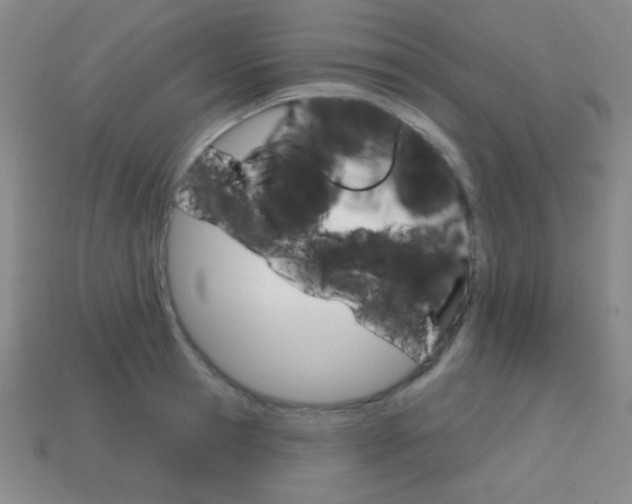 X0000114200945200910091046