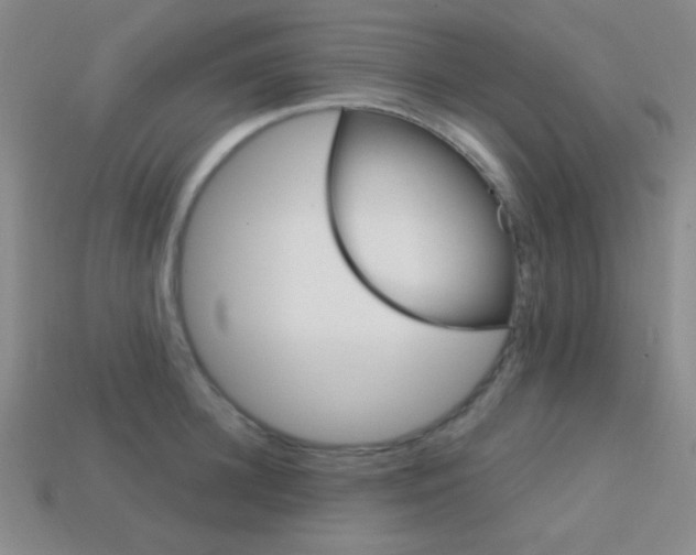 X0000114200948200910091046