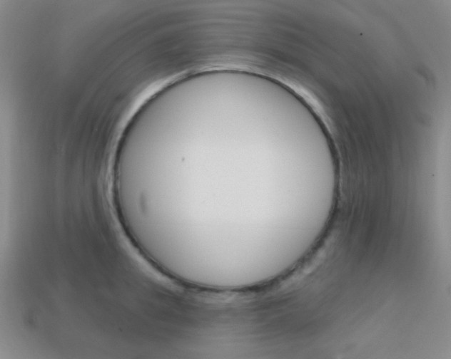 X0000114200949200910091046