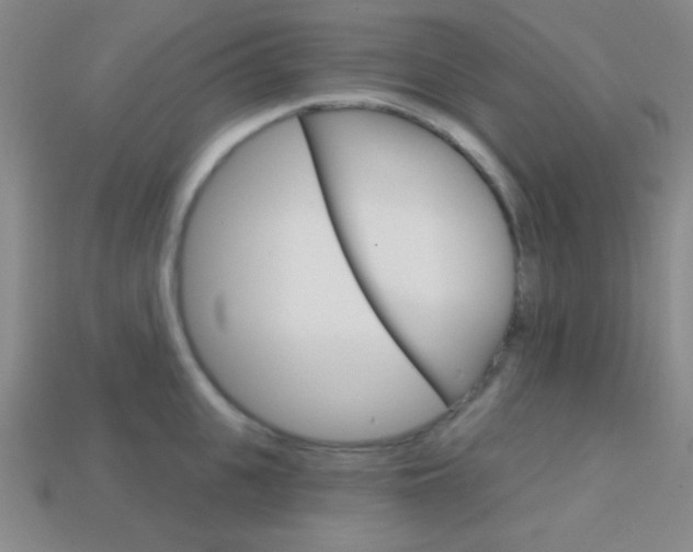 X0000114200951200910091046